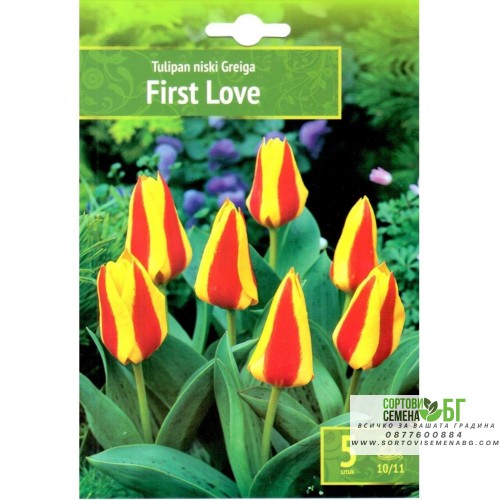 Лале Първа любов / Tulipa First Love - 5 бр луковици