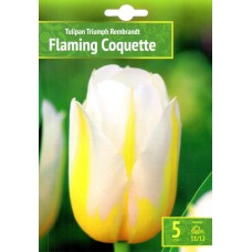 Лале Пламтяща кокетка Tulipa Flaming Coquette - 5 бр луковици