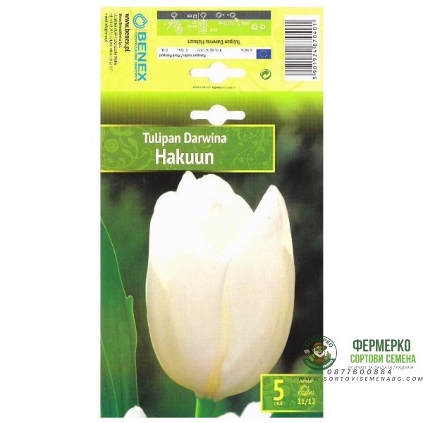 Лале Хакуун Tulipa Hakuun - 5 бр луковици