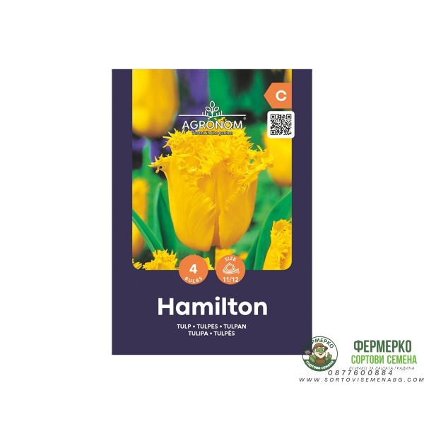 Лале Хамилтън Tulipa Hamilton - AGRONOM - 4 бр луковици