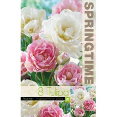 Лале Микс Анжелик Маунт Такома Tulipa MIX Angelique Mount Tacoma - 8 бр луковици