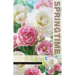 Лале Микс Анжелик Маунт Такома Tulipa MIX Angelique Mount Tacoma - 8 бр луковици
