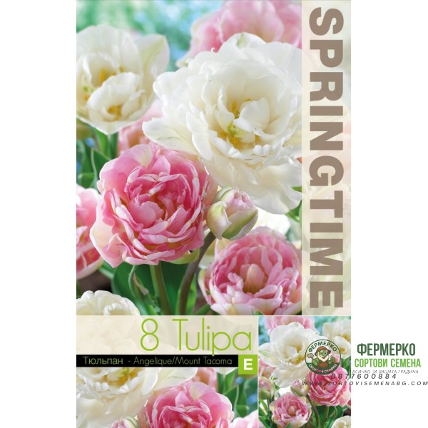 Лале Микс Анжелик Маунт Такома Tulipa MIX Angelique Mount Tacoma - 8 бр луковици