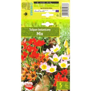 Лале Ботанически Микс / Tulip Botanic Mix - 5 бр луковици