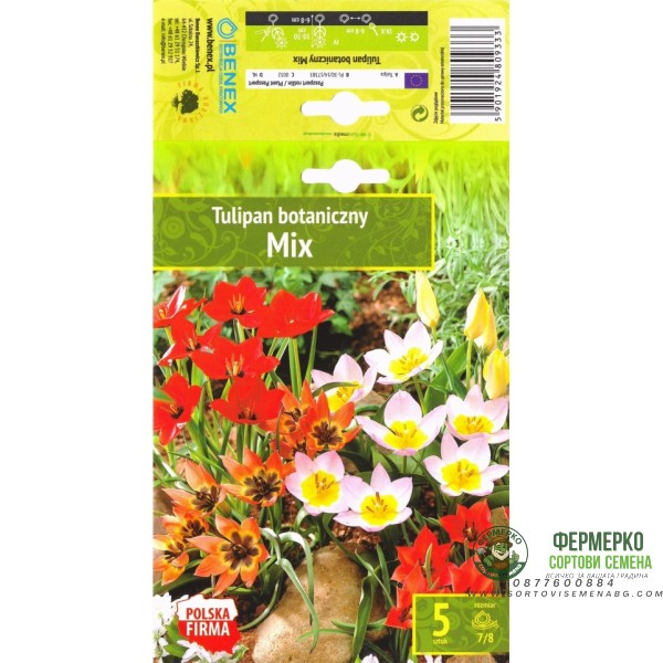 Лале Ботанически Микс Tulip Botanic Mix - 5 бр луковици