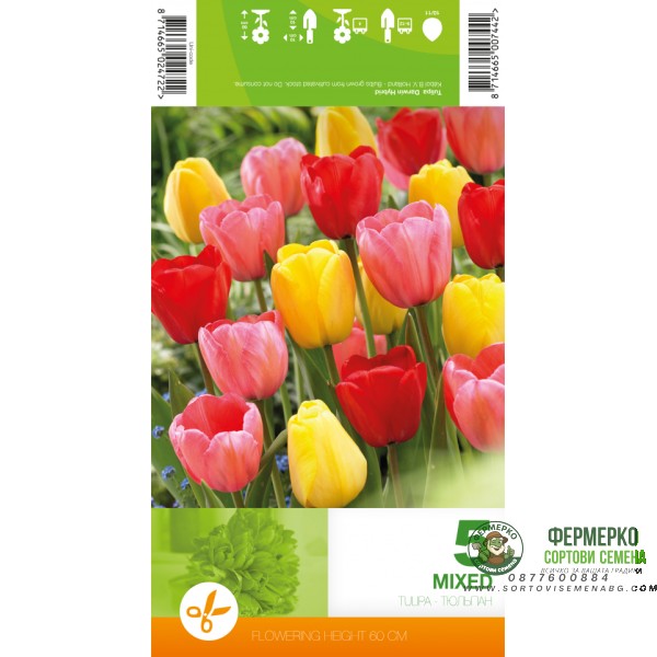 Лале Микс Дарвин Хибрид Tulipа Mix Darwin Hybrid - 5 бр луковици