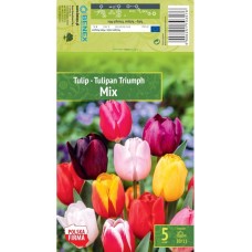 Лале Микс Триумф Tulipа Mix Triumph - 5 бр луковици
