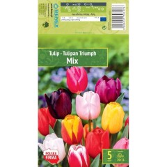 Лале Микс Триумф Tulipа Mix Triumph - 5 бр луковици