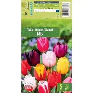 Лале Микс Триумф / Tulipа Mix Triumph - 5 бр луковици