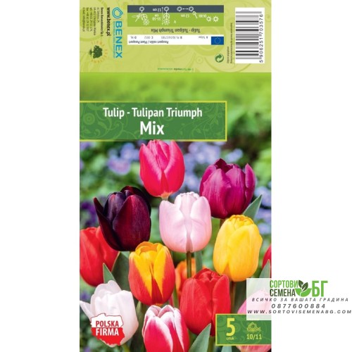 Лале Микс Триумф / Tulipа Mix Triumph - 5 бр луковици