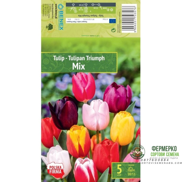Лале Микс Триумф Tulipа Mix Triumph - 5 бр луковици