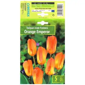 Лале Оранжев Император / Tulipa Orange Emperor - 5 бр луковици