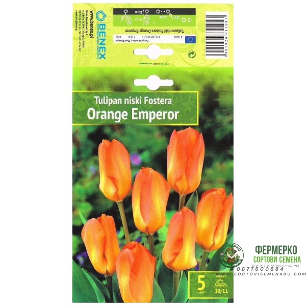 Лале Оранжев Император Tulipa Orange Emperor - 5 бр луковици