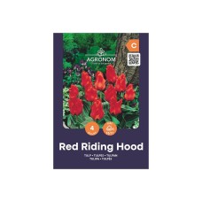 Лале Червената шапчица Tulipa Red Riding Hood - AGRONOM - 4 бр луковици