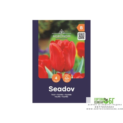 Лале Сеадов / Tulipa Seadov - AGRONOM - 4 бр луковици