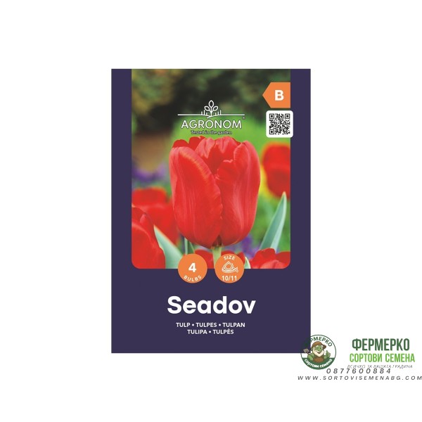 Лале Сеадов Tulipa Seadov - AGRONOM - 4 бр луковици