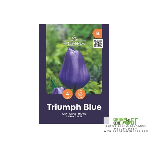Лале Триумф Блу / Tulipa Triumph Blue - AGRONOM - 4 бр луковици