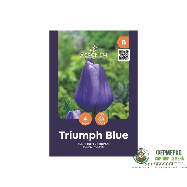 Лале Триумф Блу Tulipa Triumph Blue - AGRONOM - 4 бр луковици