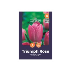 Лале Триумф Роуз Tulipa Triumph Rose - AGRONOM - 4 бр луковици