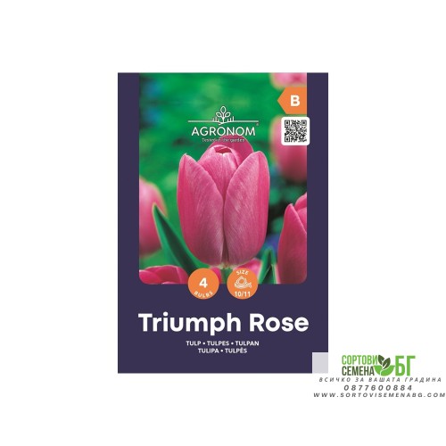 Лале Триумф Роуз / Tulipa Triumph Rose - AGRONOM - 4 бр луковици