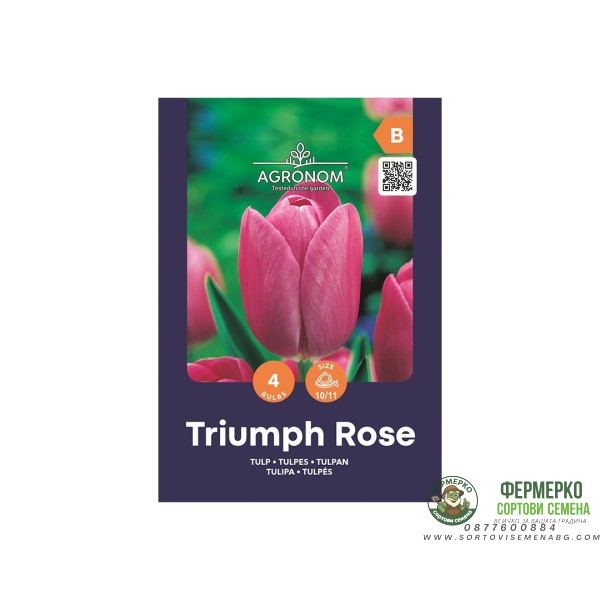 Лале Триумф Роуз Tulipa Triumph Rose - AGRONOM - 4 бр луковици