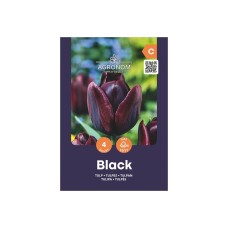 Лале Черно Tulip Black - AGRONOM - 4 бр луковици