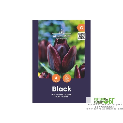 Лале Черно / Tulip Black - AGRONOM - 4 бр луковици