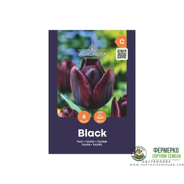 Лале Черно Tulip Black - AGRONOM - 4 бр луковици