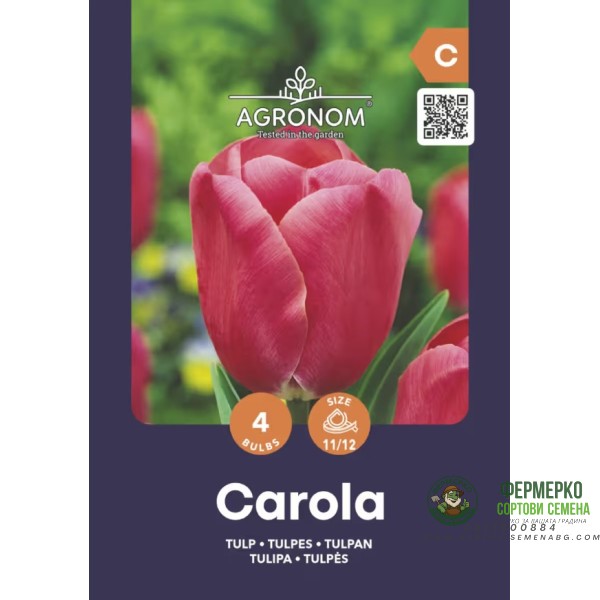 Лале Карола Tulip Carola - AGRONOM - 4 бр луковици