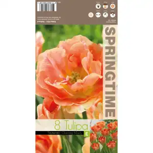 Лале Очарователна красота / Tulipa Charming Beauty - 8 бр луковици