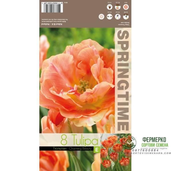 Лале Очарователна красота Tulipa Charming Beauty - 8 бр луковици