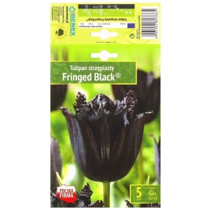 Лале Черно с ресни / Tulipa Fringed Black® - 5 бр луковици