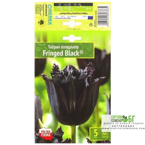 Лале Черно с ресни / Tulipa Fringed Black® - 5 бр луковици