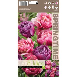 Лале Микс Колумб / Син диаманд / Tulipa MIX Columbus / Blue Diamond - 8 бр луковици