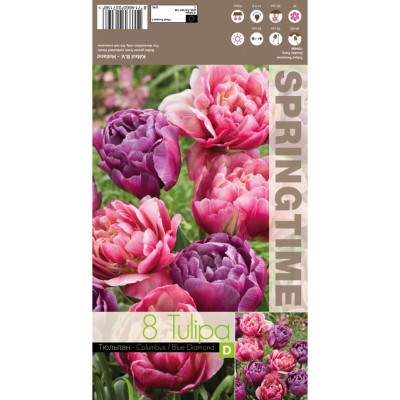Лале Микс Колумб / Син диаманд / Tulipa MIX Columbus / Blue Diamond - 8 бр луковици