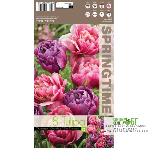 Лале Микс Колумб / Син диаманд / Tulipa MIX Columbus / Blue Diamond - 8 бр луковици