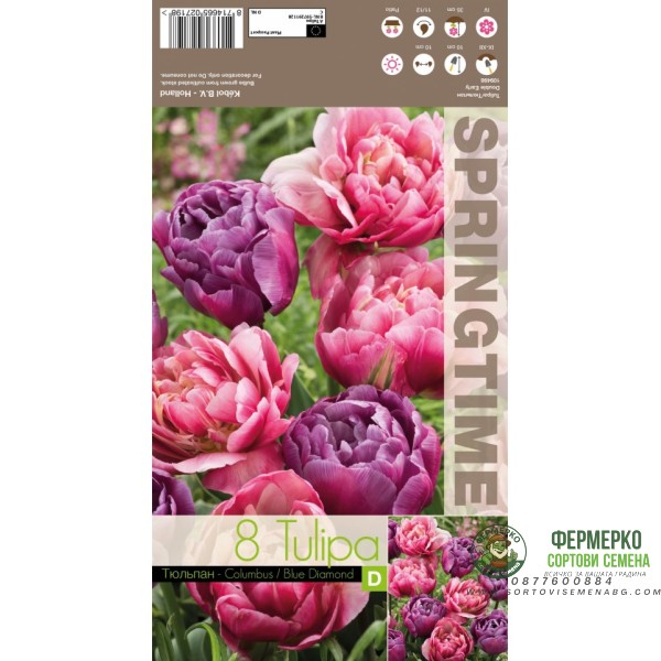 Лале Микс Колумб Син диаманд Tulipa MIX Columbus Blue Diamond - 8 бр луковици