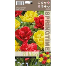 Лале Микс Жълт Помпон Миранда Tulipa MIX Yellow Pomponette Miranda - 8 бр луковици