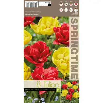 Лале Микс Жълт Помпон / Миранда / Tulipa MIX Yellow Pomponette / Miranda - 8 бр луковици