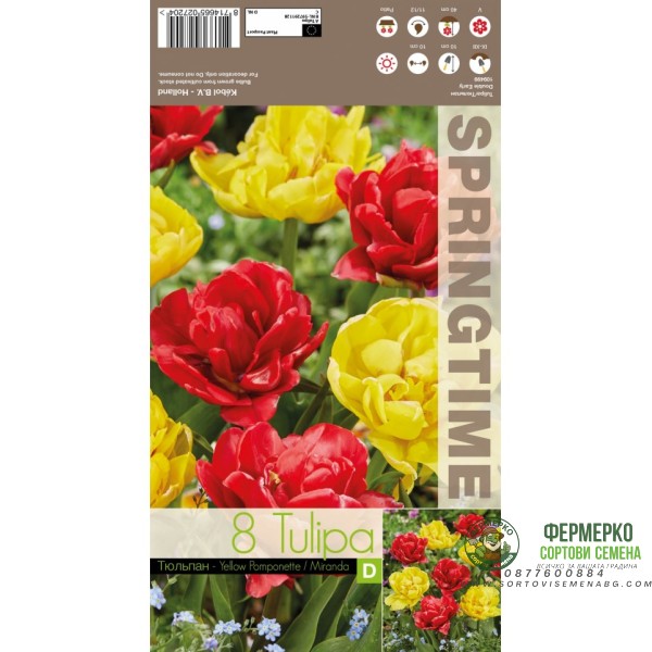 Лале Микс Жълт Помпон Миранда Tulipa MIX Yellow Pomponette Miranda - 8 бр луковици