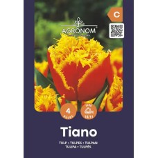 Лале Тиано Tulip Tiano - AGRONOM - 4 бр луковици