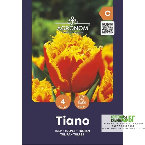 Лале Тиано / Tulip Tiano - AGRONOM - 4 бр луковици