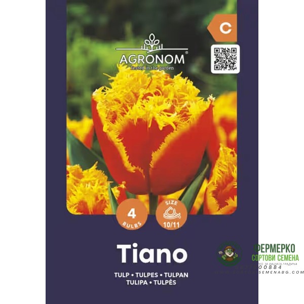 Лале Тиано Tulip Tiano - AGRONOM - 4 бр луковици