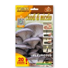 Мицелови дибли за Кладница (Pleurotus ostreatus) - 20 бр