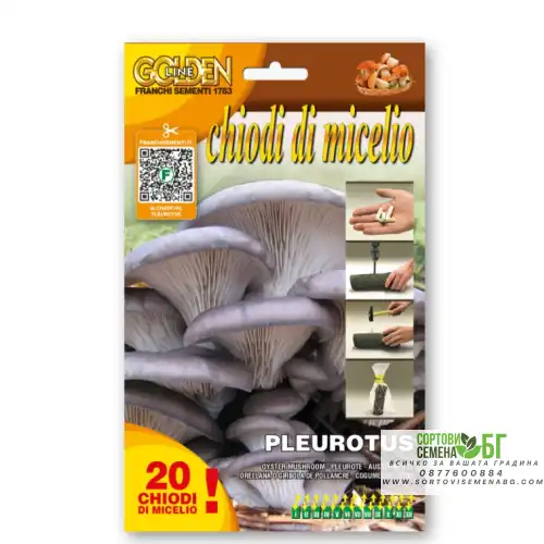 Мицелови дибли за Кладница (Pleurotus ostreatus) - 20 бр Мицелови дибли за Кладница (Pleurotus ostreatus) - 20 бр