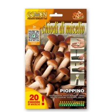 Мицелови дибли за Тополова гъба (Cyclocybe cylindracea Cyclocybe aegerit ) - 20 бр