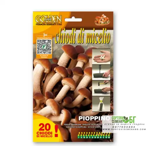 Мицелови дибли за Тополова гъба (Cyclocybe cylindracea / Cyclocybe aegerit ) - 20 бр