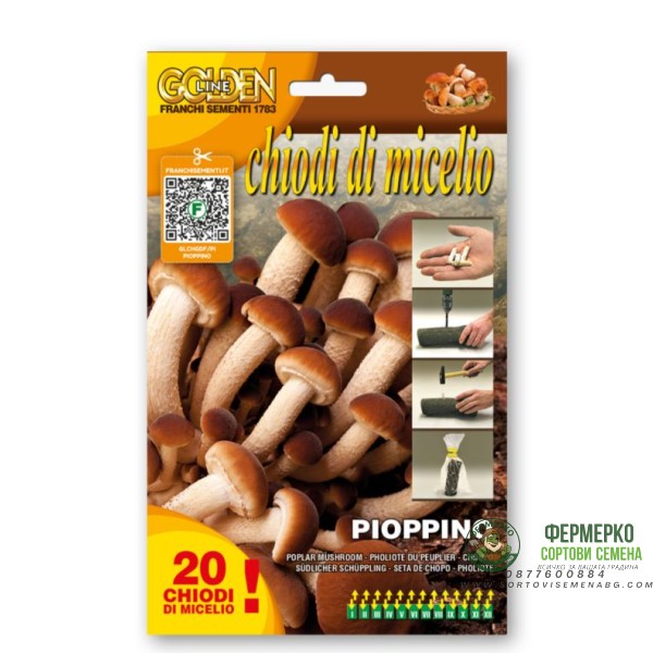 Мицелови дибли за Тополова гъба (Cyclocybe cylindracea Cyclocybe aegerit ) - 20 бр