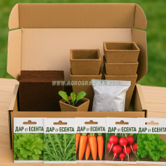 Стартов пакет Дар от Есента с 9 вида семена