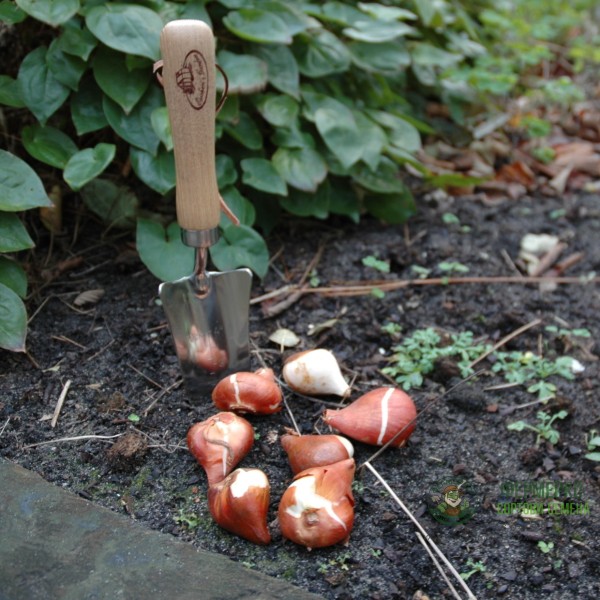 Градинска тясна лопатка от неръждаема стомана Esschert Design